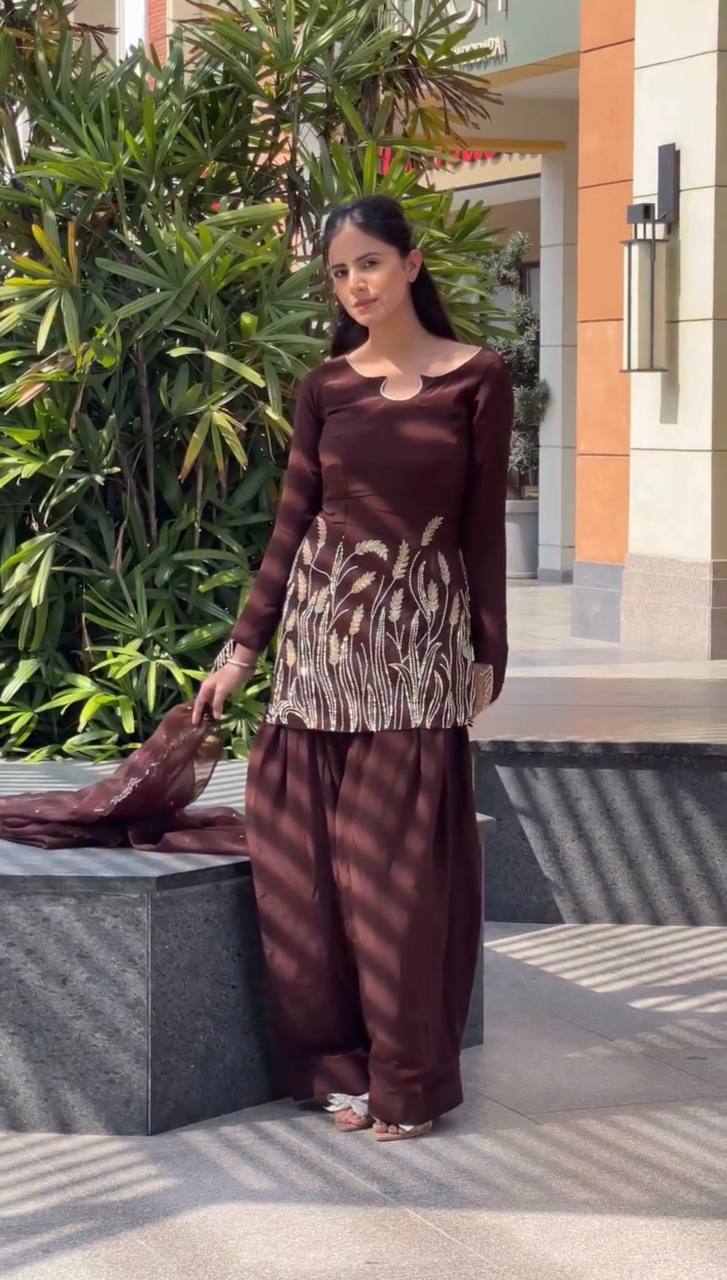 Aarizah Noor  Designer Party Wear Look Farshi Shalwar