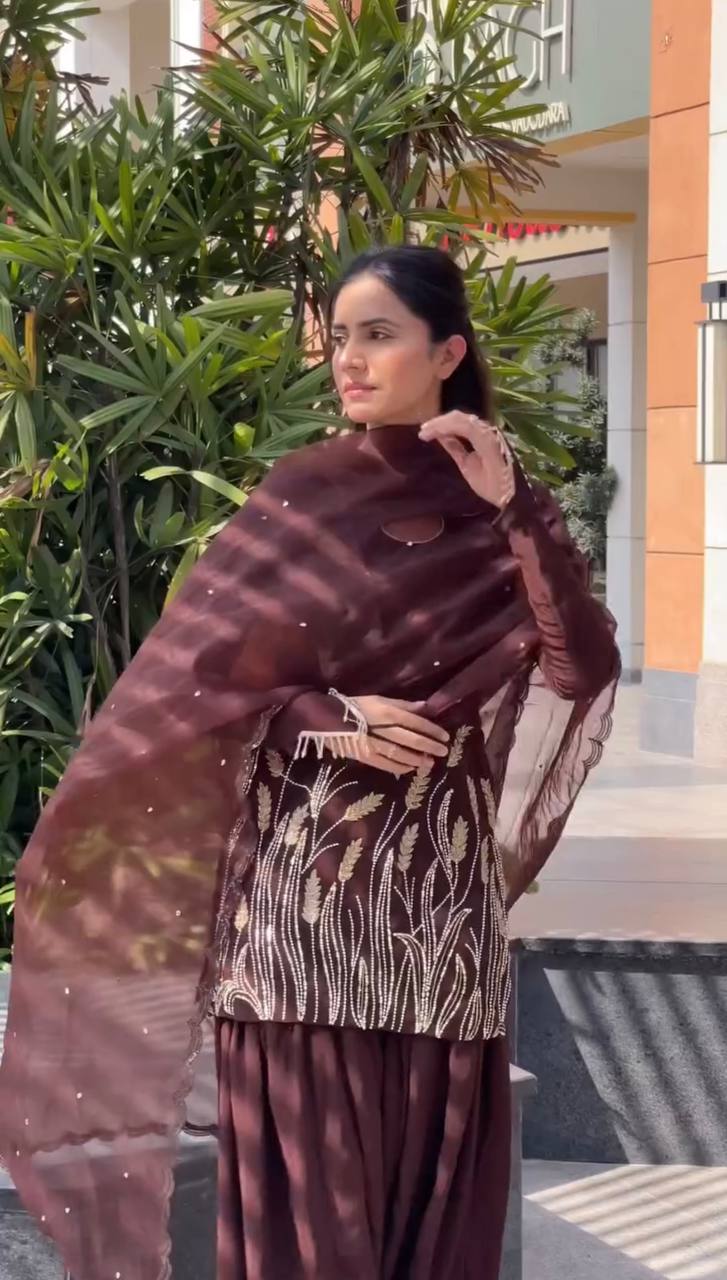 Aarizah Noor  Designer Party Wear Look Farshi Shalwar