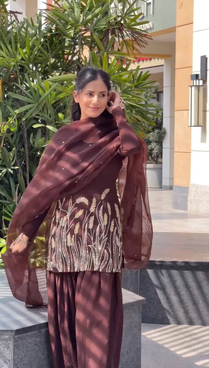 Aarizah Noor  Designer Party Wear Look Farshi Shalwar